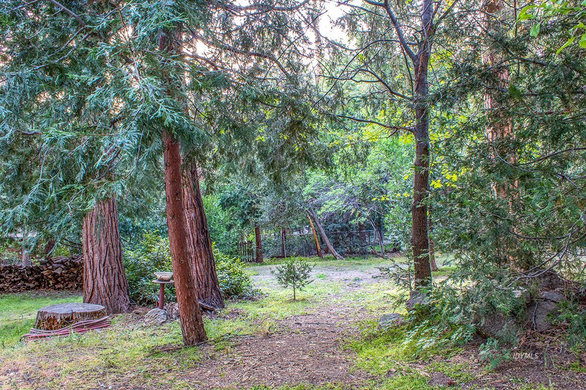 25341 Tahquitz Road Idyllwild, CA 92549 - Photo 53 of 56 a backyard of a house with lots of plants and large trees