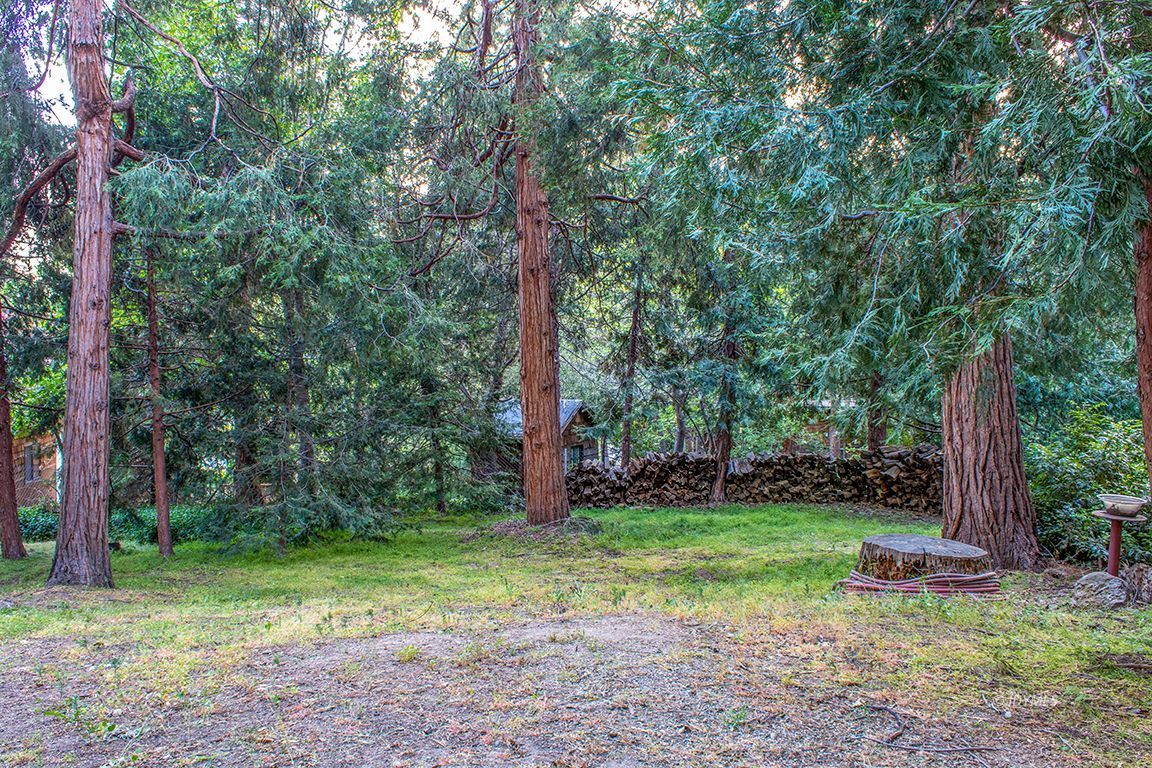 25341 Tahquitz Road Idyllwild, CA 92549 - Photo 54 of 56 a view of a backyard with large trees and wooden fence