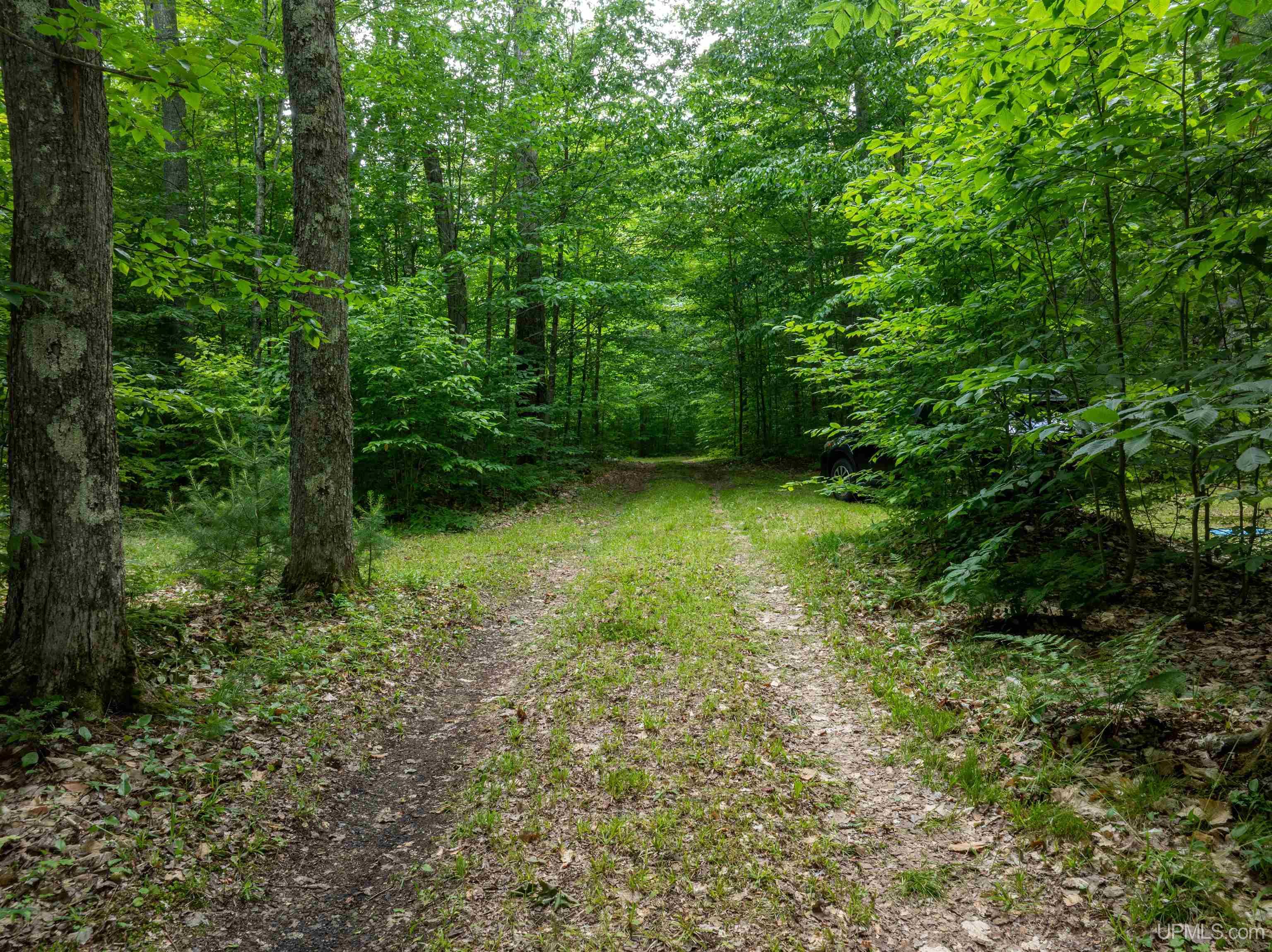 16530 Dd Road Wetmore, MI 49895 - Photo 37 of 37 Gallery Image 37