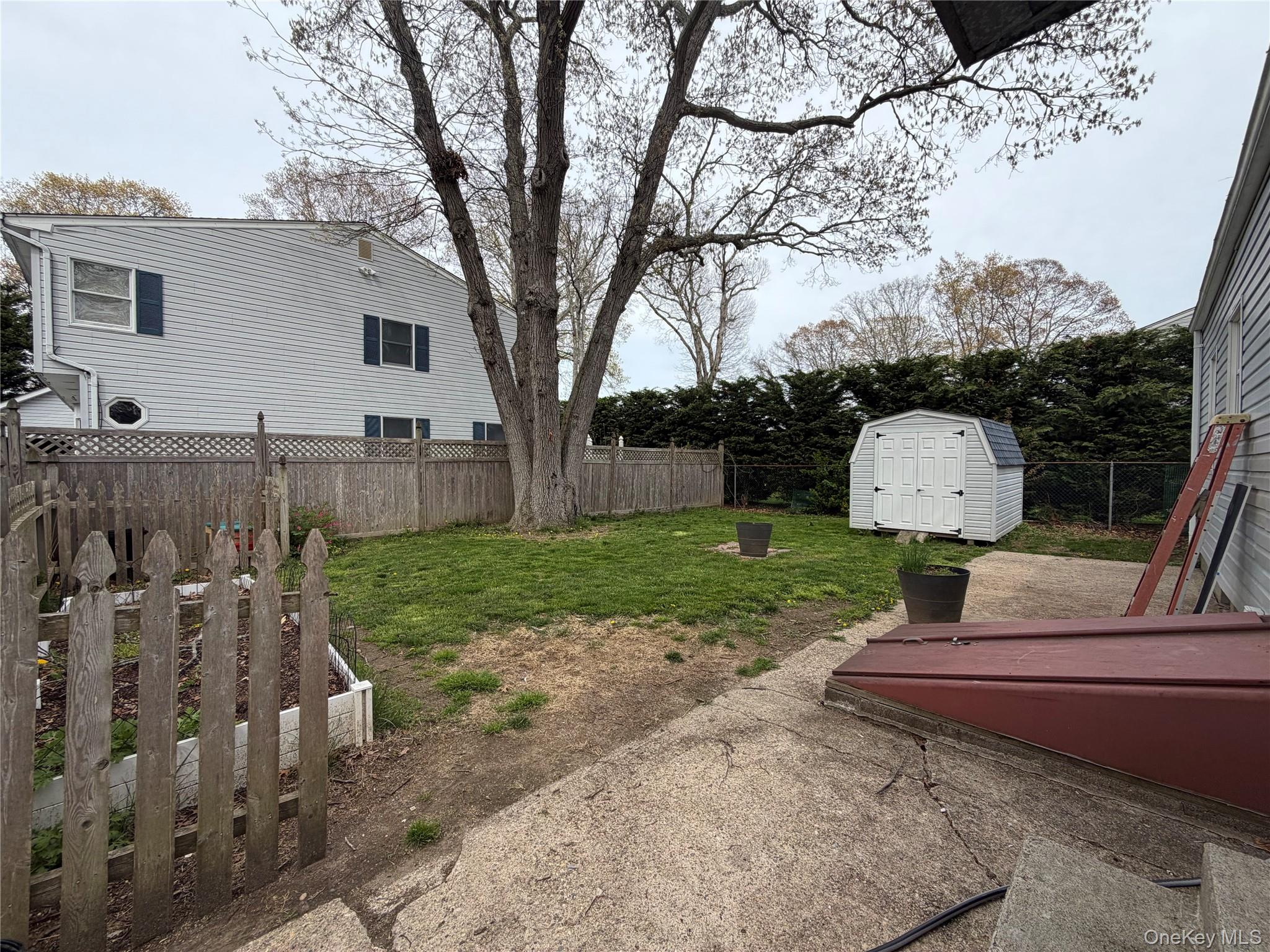 17 Eastover Road Sayville, NY 11782 - Photo 18 of 19 Rear Yard with Shed and Bilco Doors to Cellar.