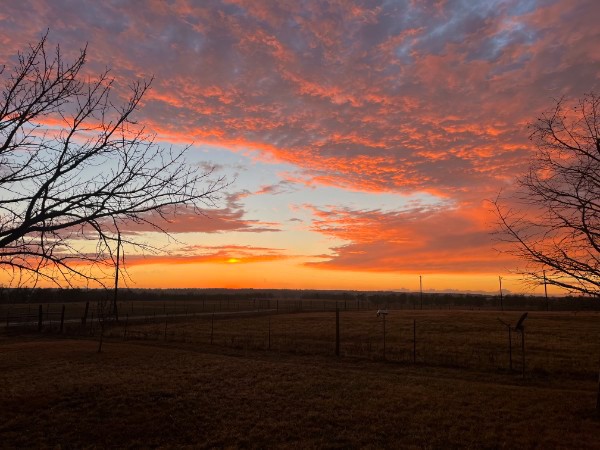 928 Upper Elgin River Road Elgin, TX 78621 - Photo 38 of 40 Stunning view