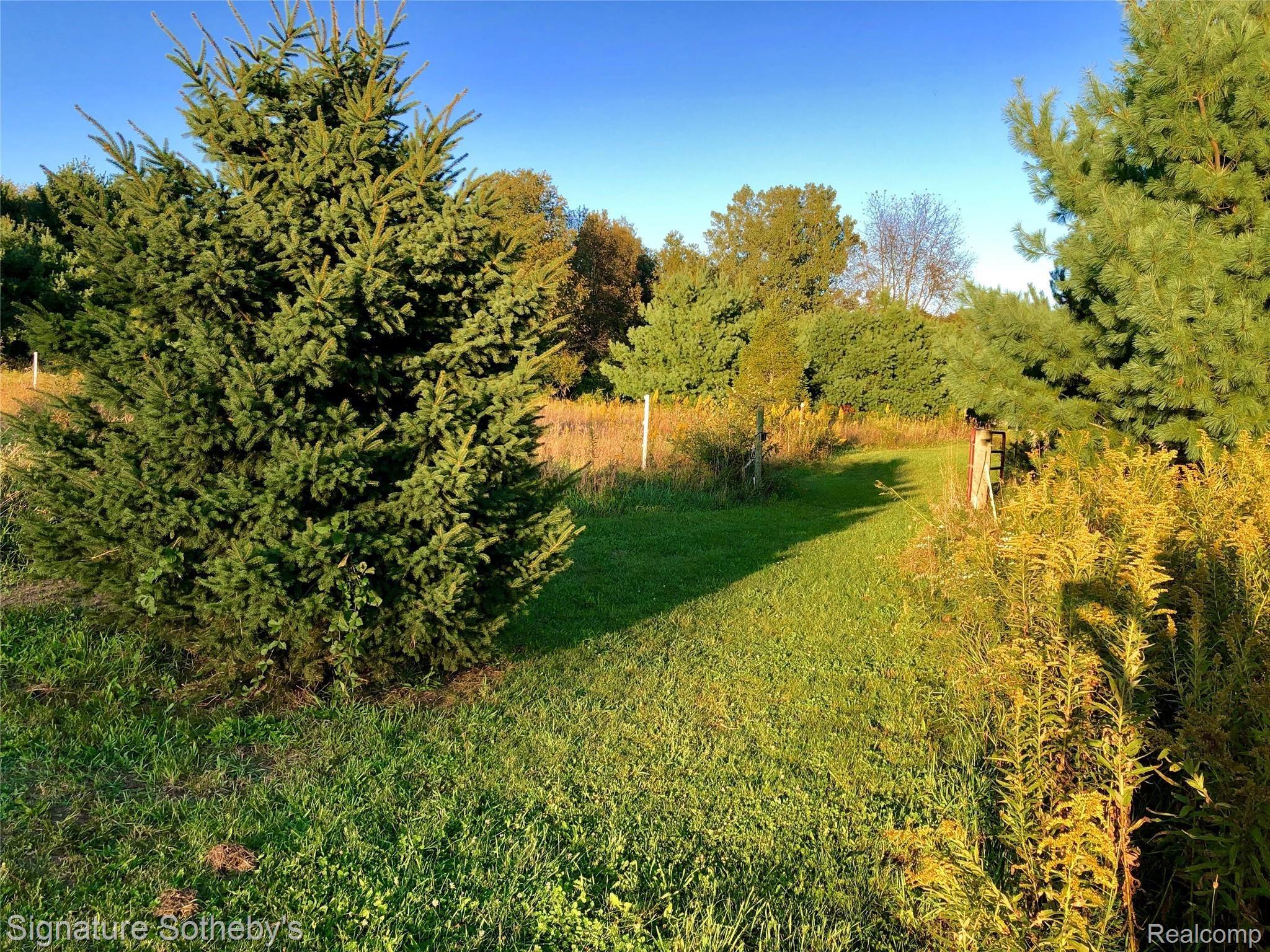 6539 Ridgewood Road Clarkston, MI 48346 - Photo 15 of 92 fullsizeoutput_22f1.jpeg
