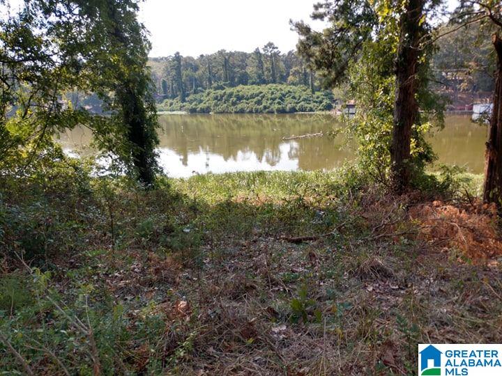 164 Naval Reserve Road Bessemer, AL 35023 - Photo 9 of 15