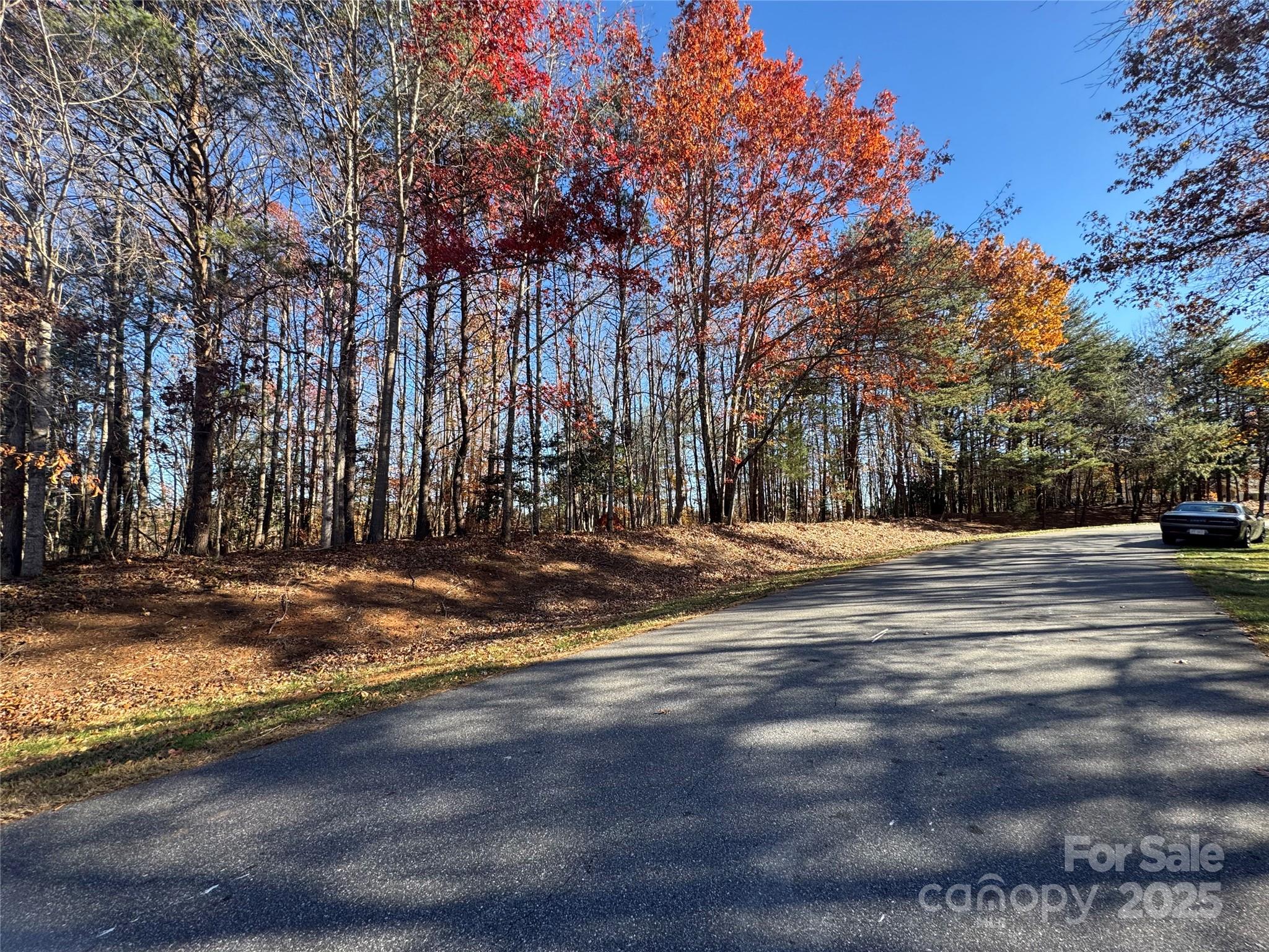 6554 Willowbottom Road Hickory, NC 28602 - Photo 3 of 3 a view of road with trees