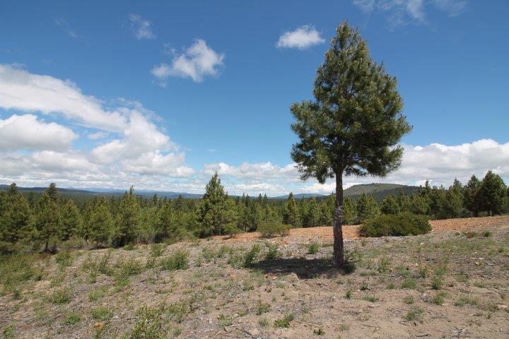 0 Spring Trail Court Chiloquin, OR 97624 - Photo 5 of 27 Additional Photo