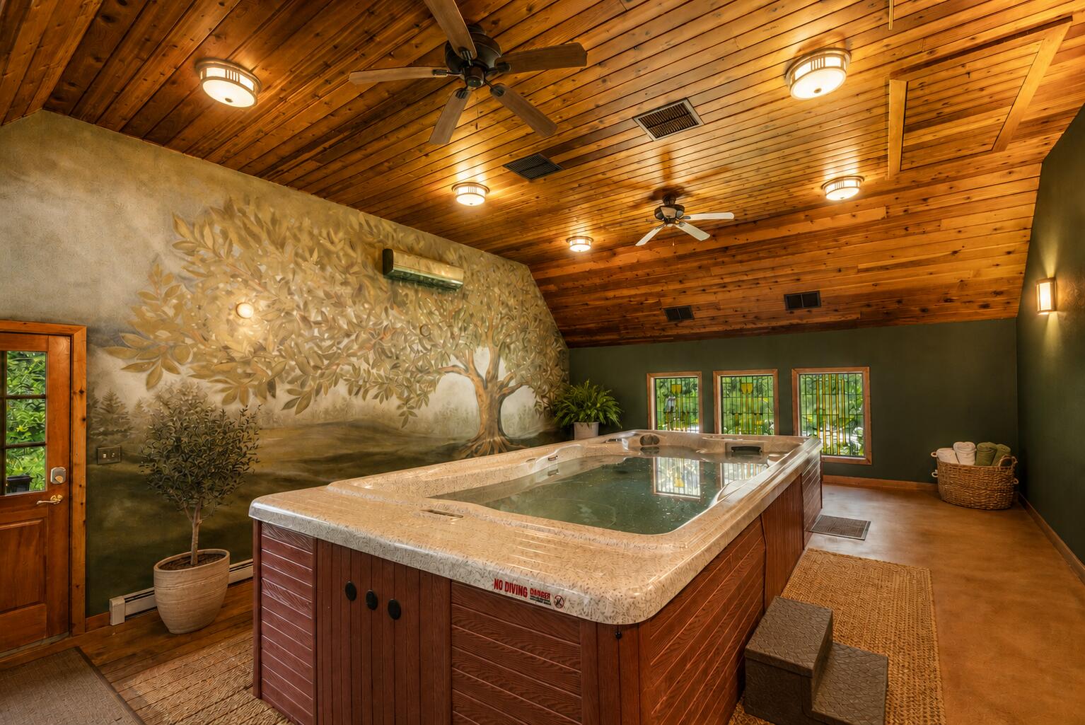 6789 North Elm Tree Road Glendale, WI 53217 - Photo 14 of 54 Swim Spa with hand-painted mural