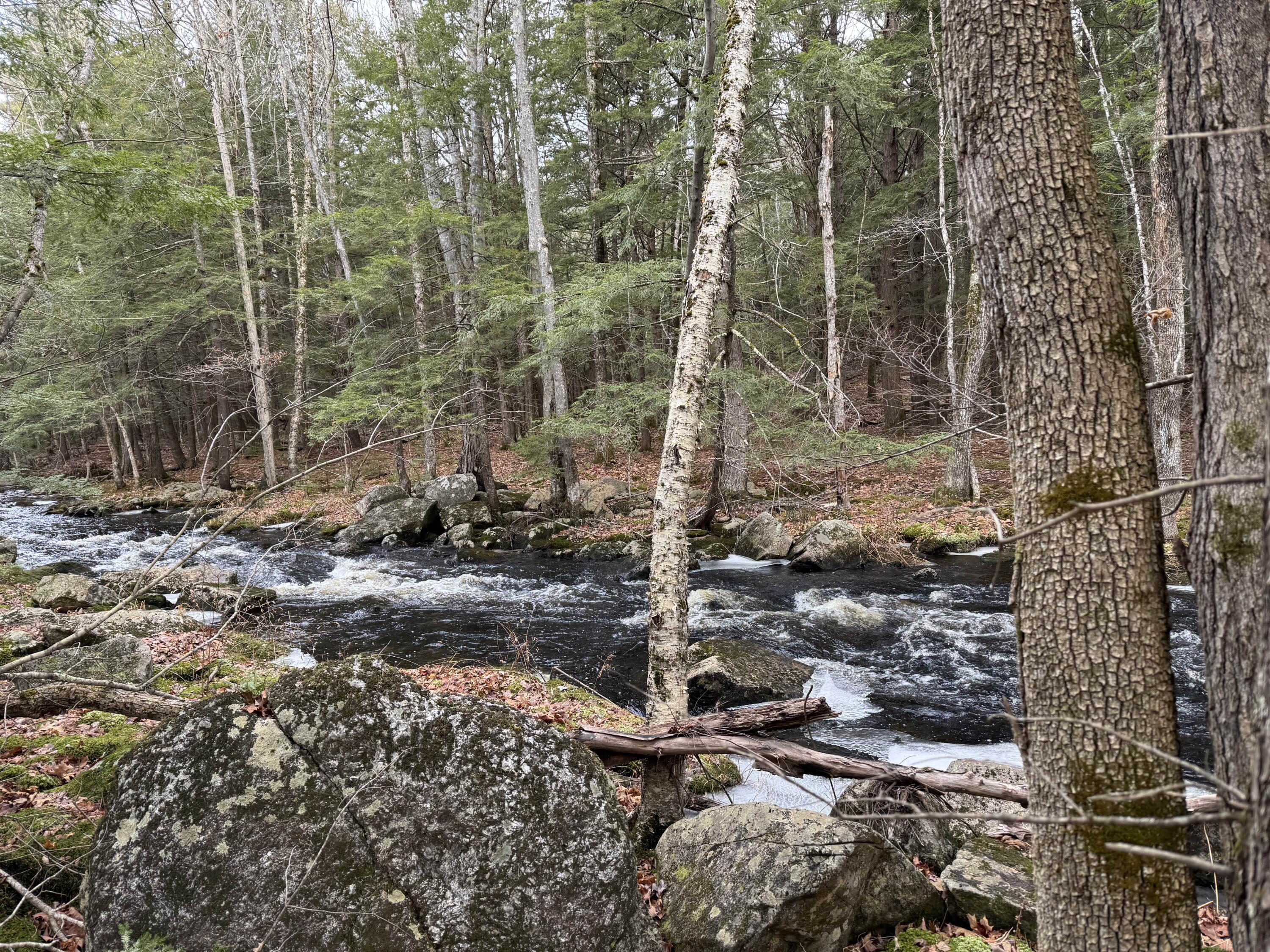 Lot 650 Gebung Road Alfred, ME 04002 - Photo 10 of 23 IMG_0899