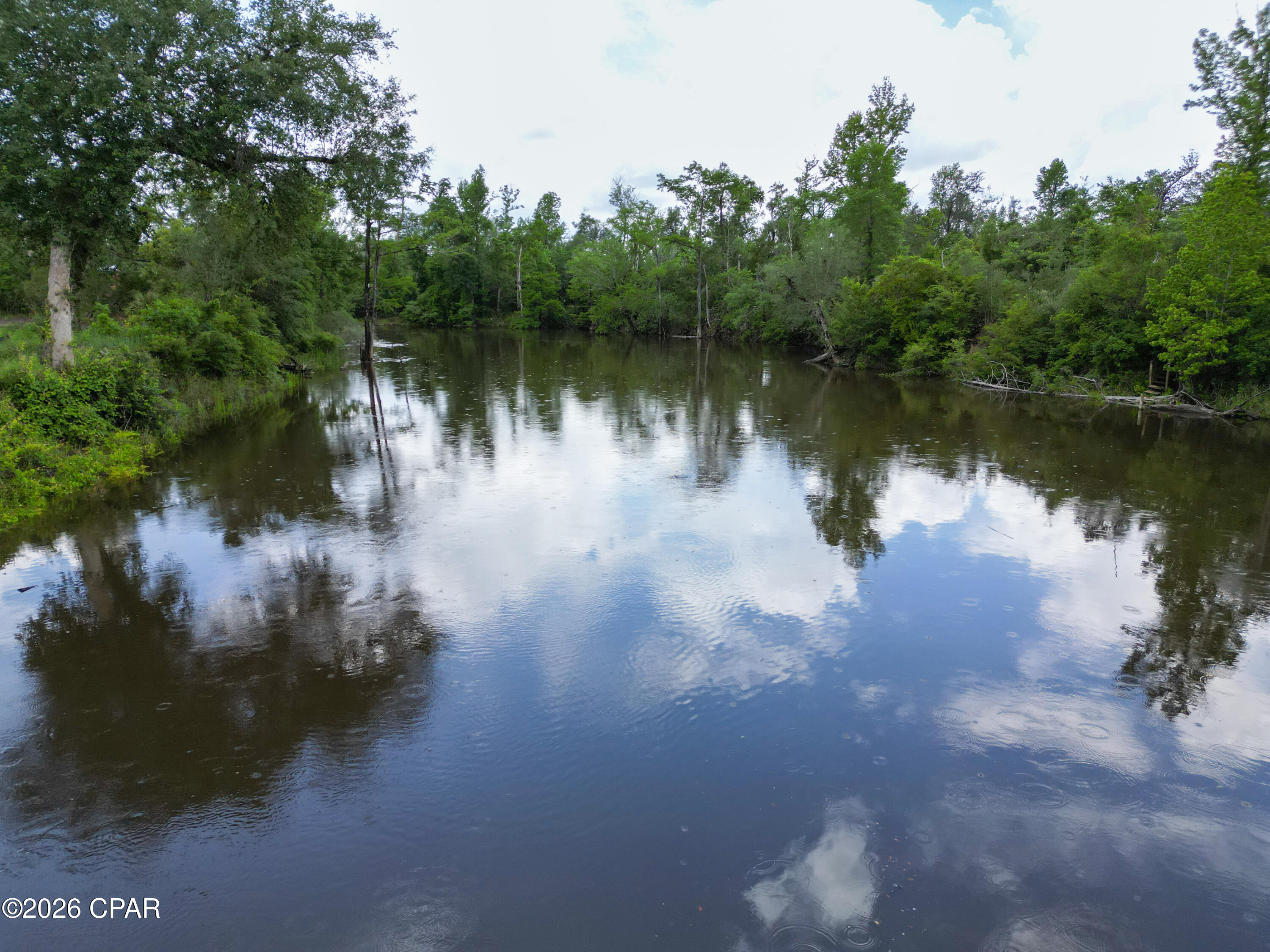13696 Shumans Ferry Road Altha, FL 32421 - Photo 76 of 87
