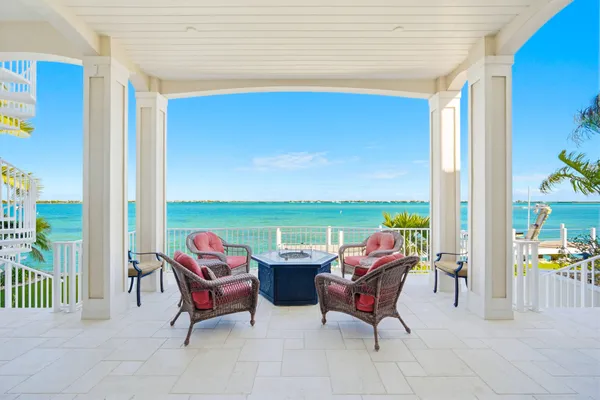a view of a potted plant in front of a building