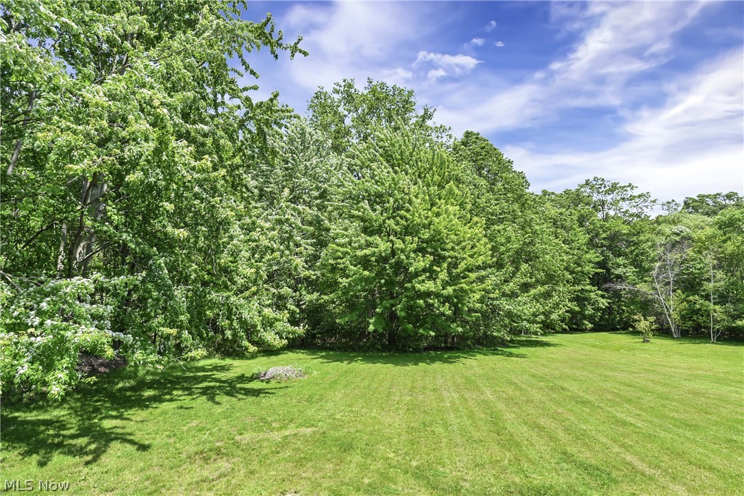 301 Crosse Road Amherst, OH 44001 - Photo 12 of 49 Expansive lawn with mature trees and dense foliage bordering the property