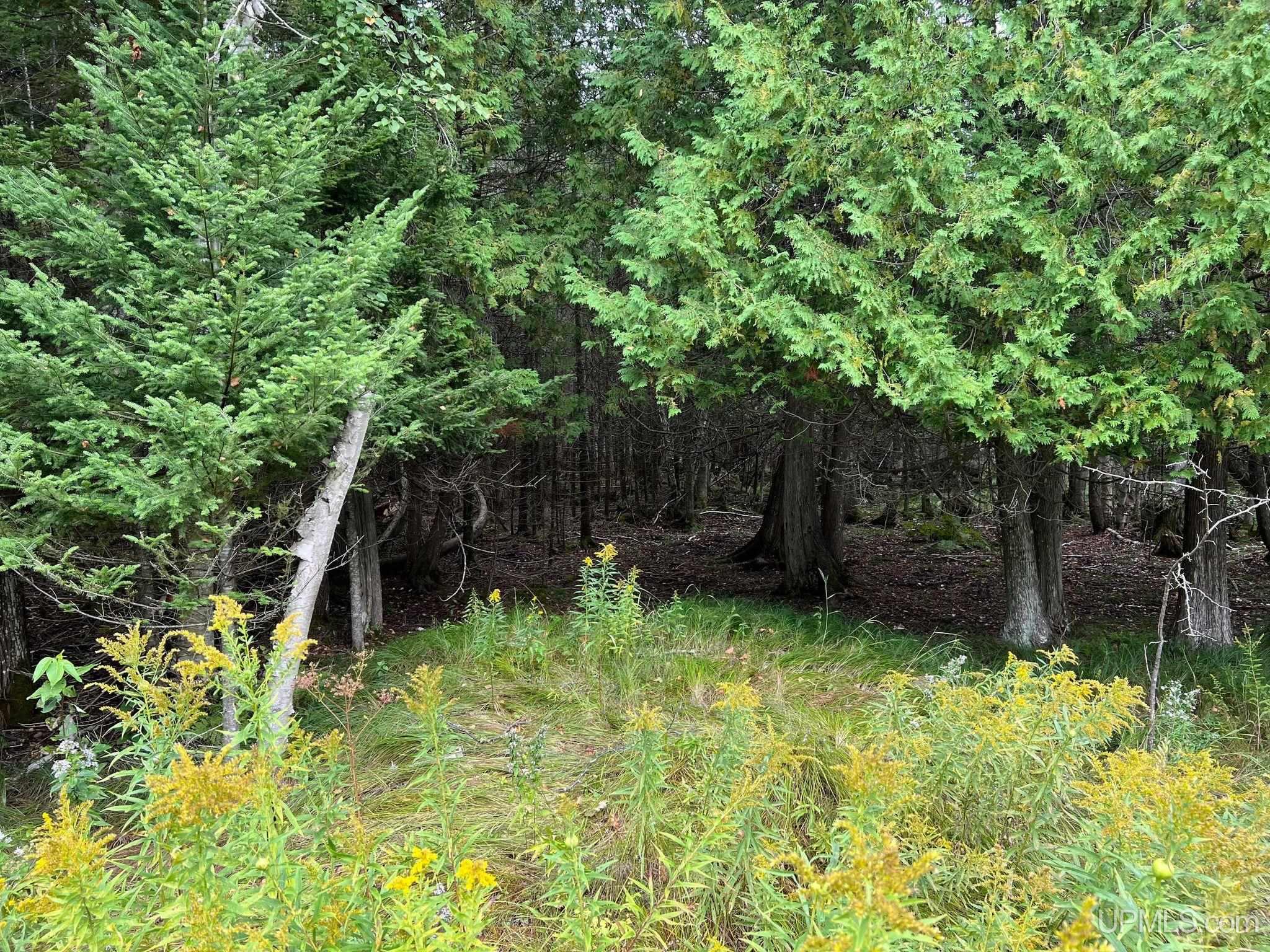 Tbd Quarry Road Gulliver, MI 49840 - Photo 5 of 16 Gallery Image 5
