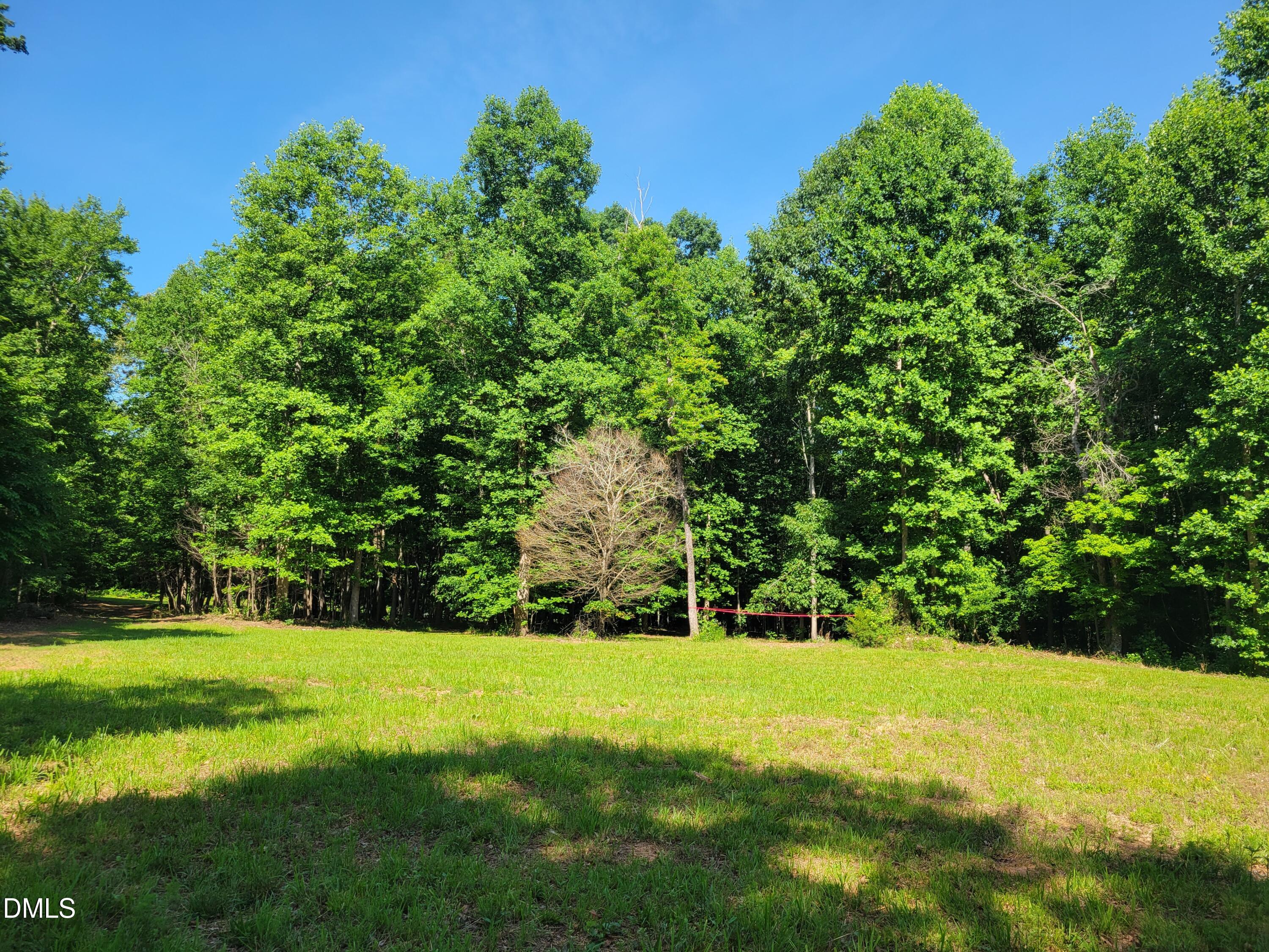 0 Hicks Farm Road Staley, NC 27355 - Photo 6 of 30 20260529_103546