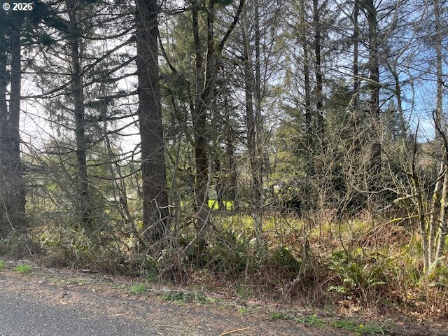 Hawthorne Road Astoria, OR 97103 - Photo 15 of 36 Gallery Image 15