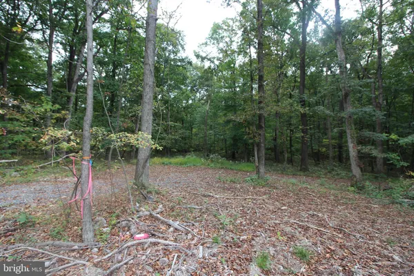 $47,500 | 0 Mockingbird Lane, Mount Jackson, VA 22842