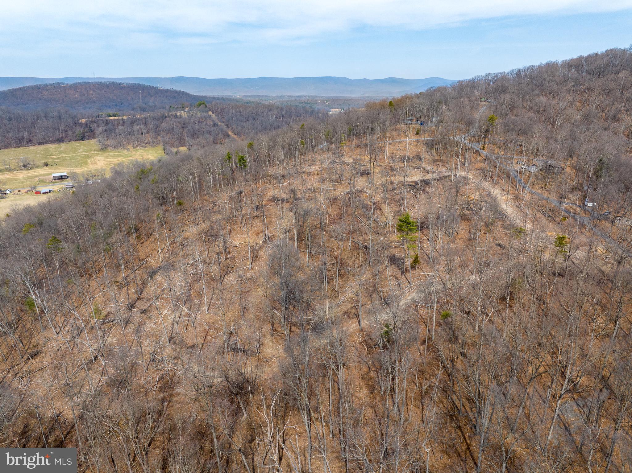 0 Mockingbird Lane Mount Jackson, VA 22842 - Photo 2 of 11