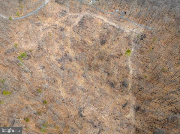 a view of a dry yard