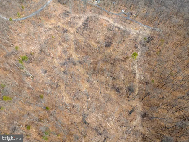 a view of a dry yard