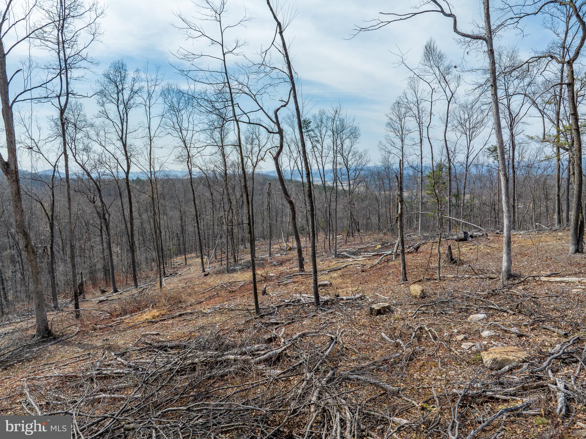 0 Mockingbird Lane Mount Jackson, VA 22842 - Photo 5 of 11 a backyard of a house with lots of green space
