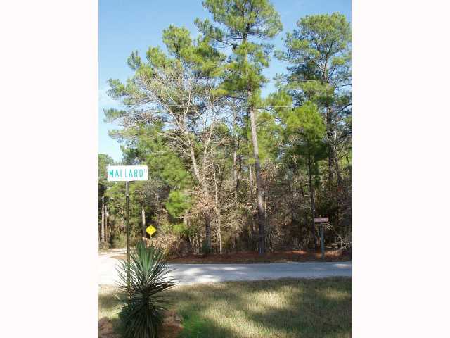 0 Blue Jay Road Bastrop, TX 78602 - Photo 1 of 1 Gallery Image 1