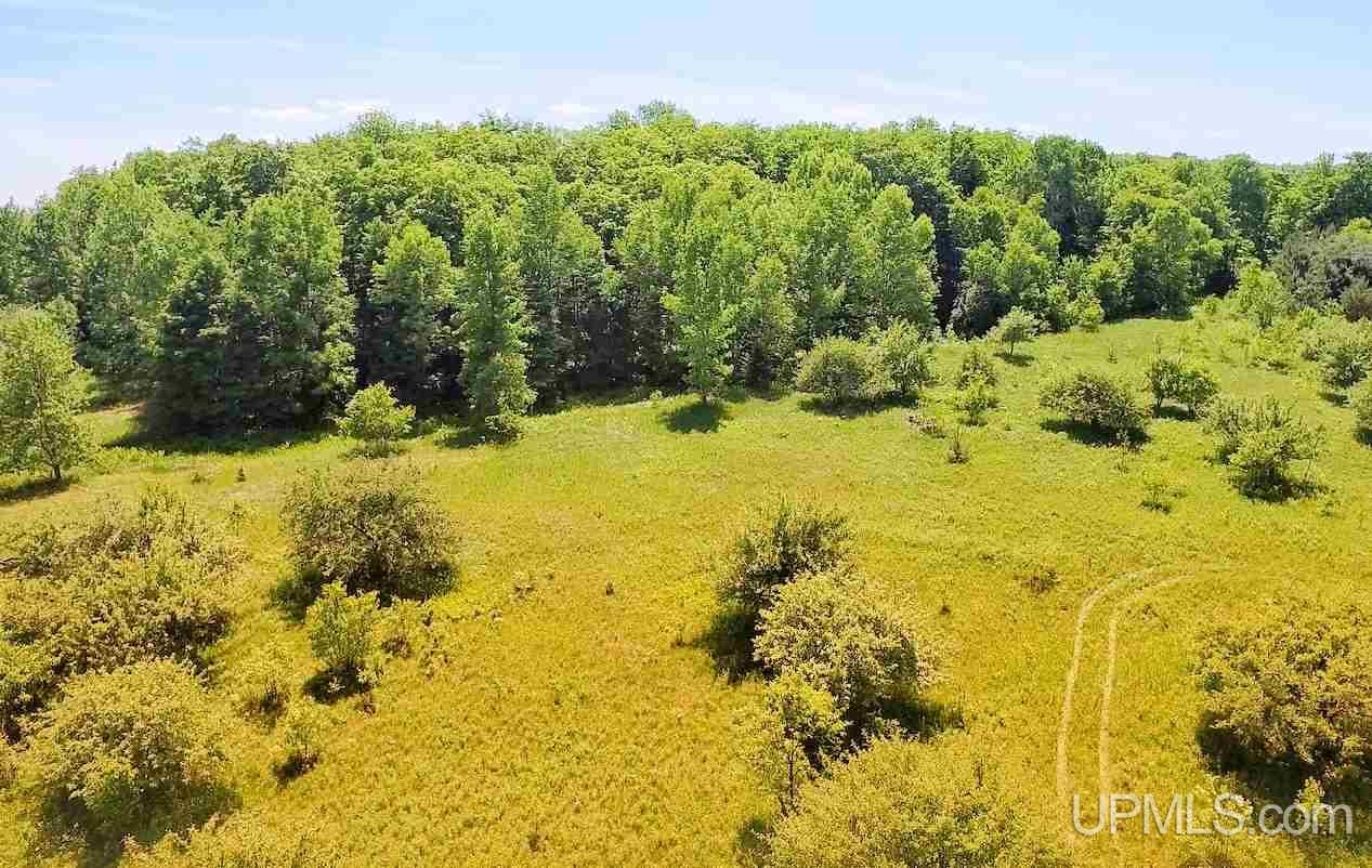 Tbd Seppanen Road Nisula, MI 49952 - Photo 1 of 24 Gallery Image 1