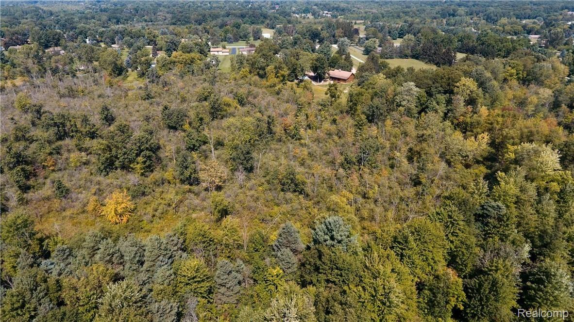 4165 Morgan Road Lake Orion, MI 48359 - Photo 79 of 81 Property is covered with pines and hardwood trees (imagine the fall colors coming soon).