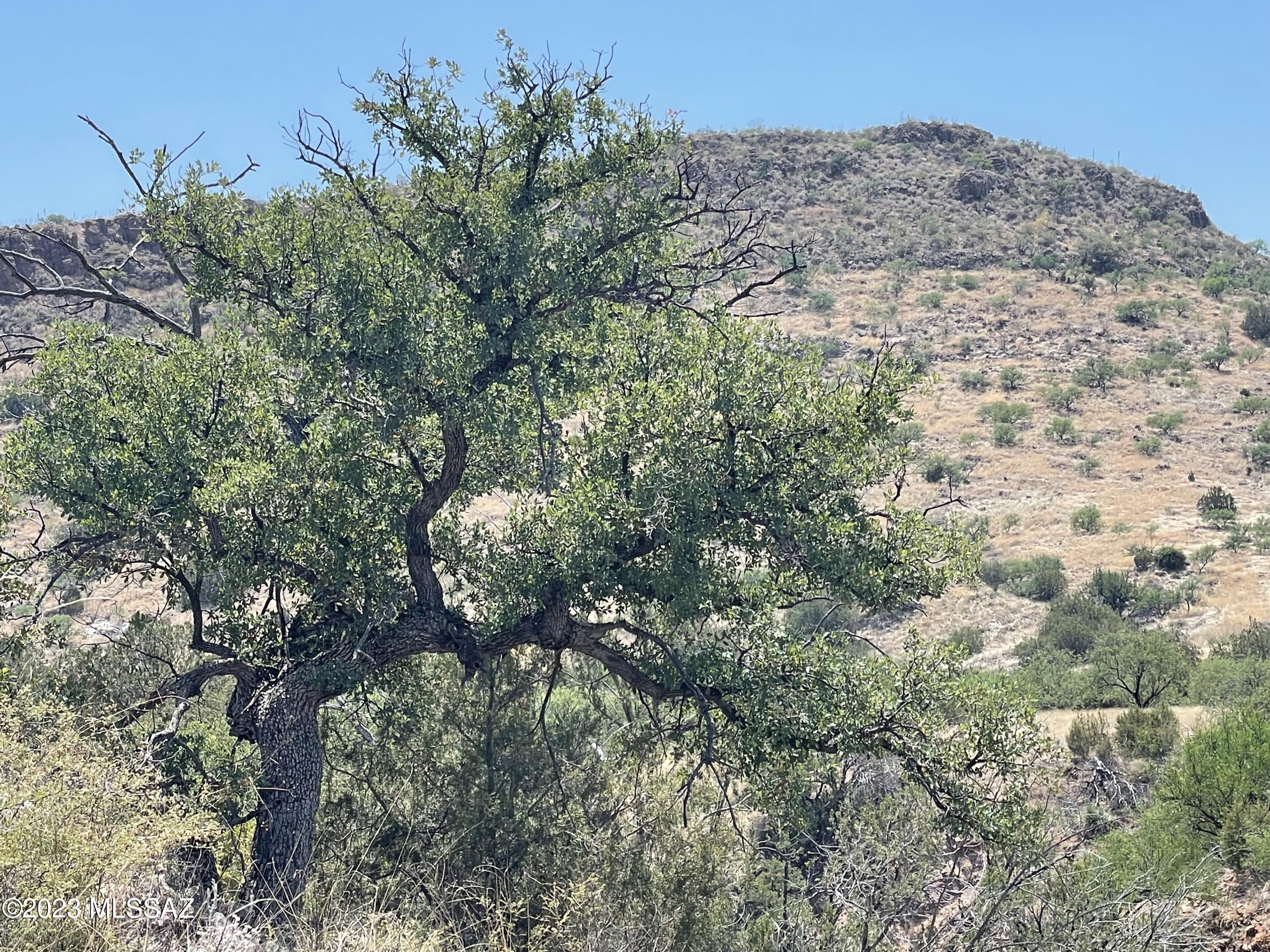 0 Montezuma Well Road, Unit 162 Rio Rico, AZ 85648 - Photo 9 of 26