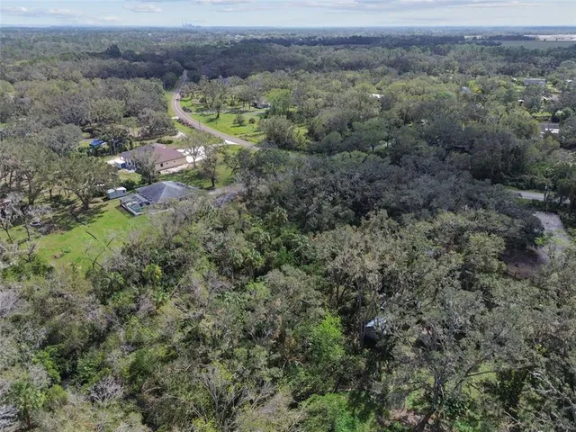 a view of a yard with plants and large trees