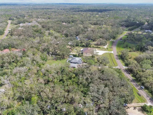 a close up of a plant in a garden