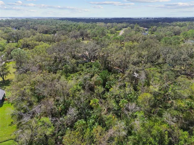 an aerial view of forest