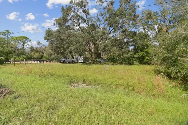 a view of a field with an trees