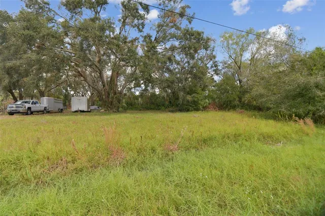 a view of a field of grass and trees
