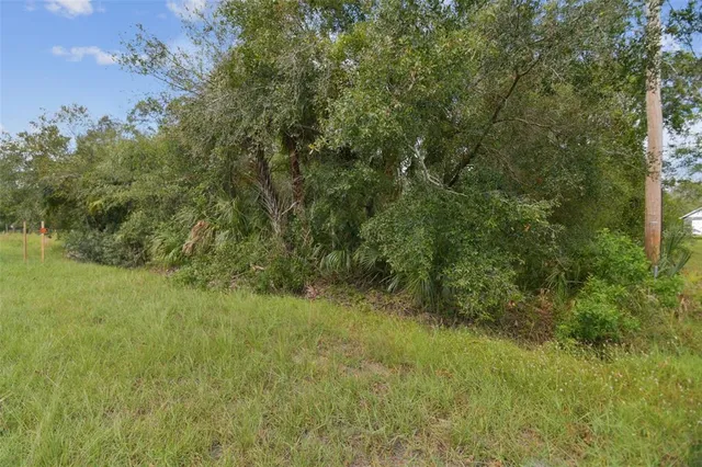 $175,000 | 1619 Butch Cassidy Trail, Wimauma, FL 33598