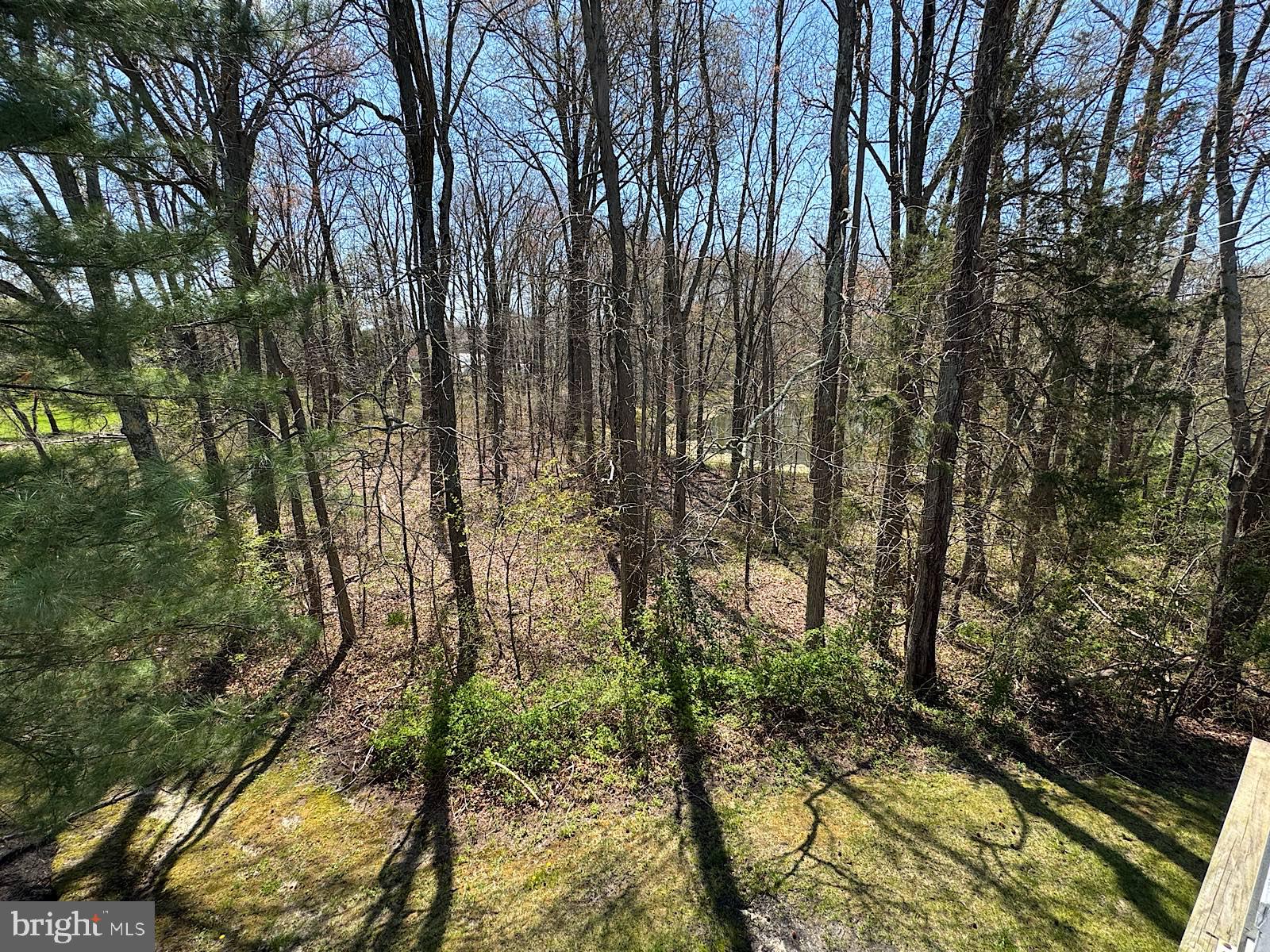 1306 Squirrel Road Marlton, NJ 08053 - Photo 10 of 32