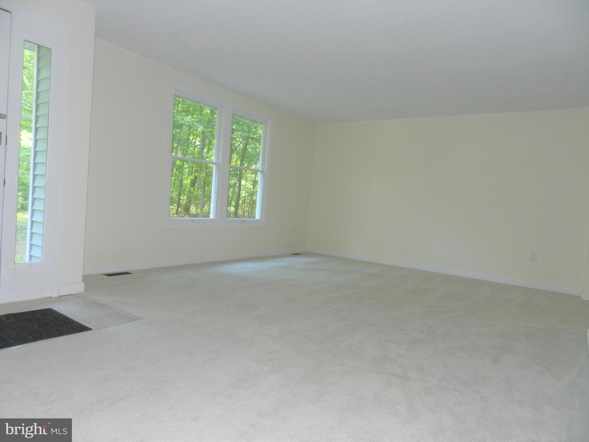 4223 Goldmine Road Goldvein, VA 22720 - Photo 13 of 43 Living/Family
