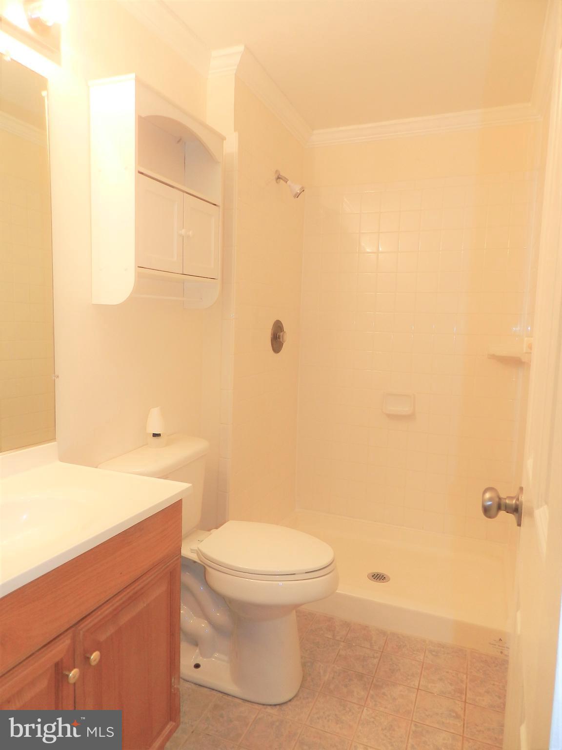 4223 Goldmine Road Goldvein, VA 22720 - Photo 21 of 43 master bath