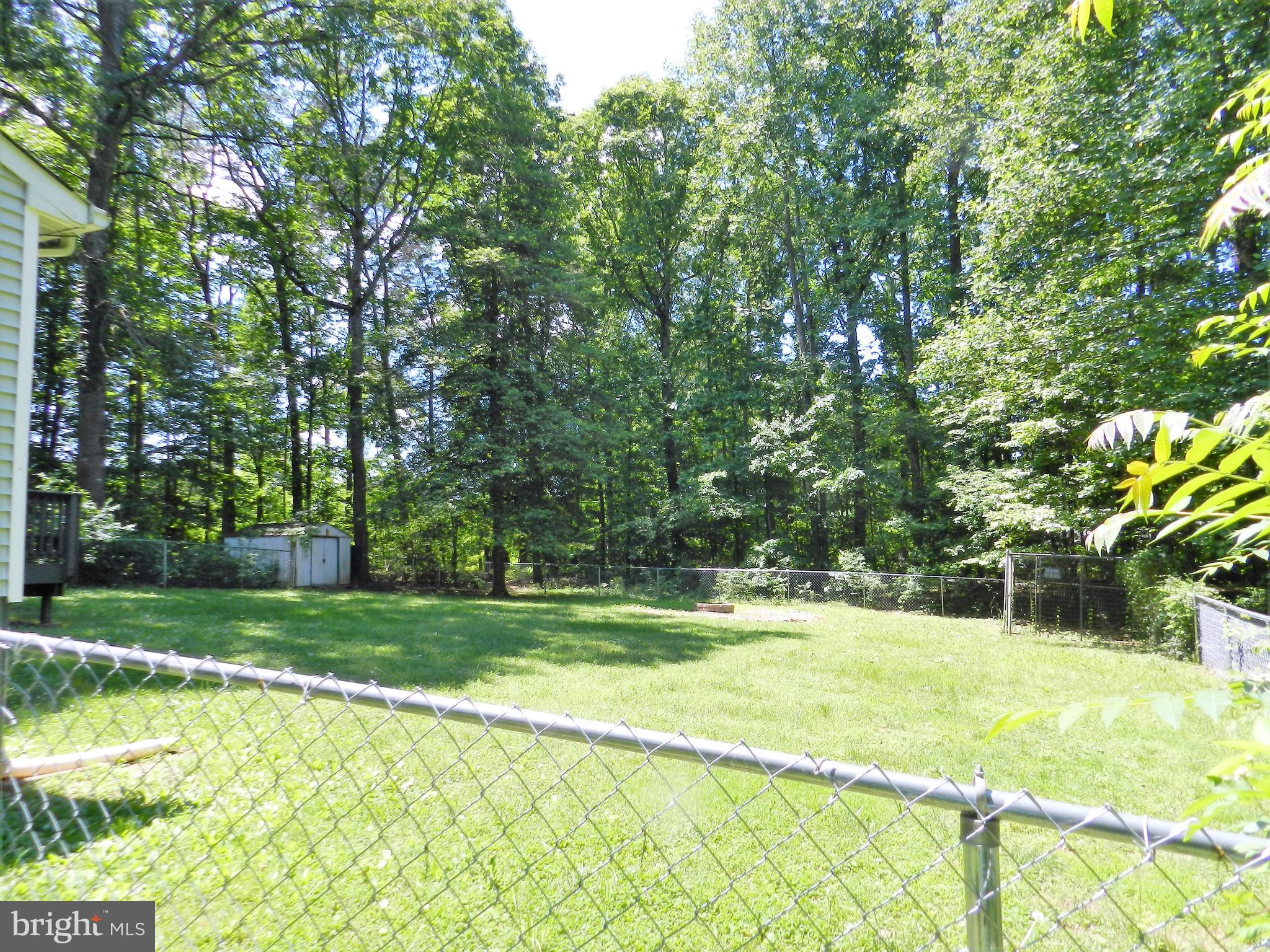 4223 Goldmine Road Goldvein, VA 22720 - Photo 5 of 43 rear yard fenced w/ fire pit & kennel