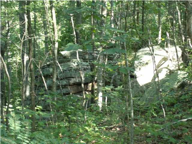 203 West Bluff Road, Unit 203 Pikeville, TN 37367 - Photo 1 of 9 Additional Photo