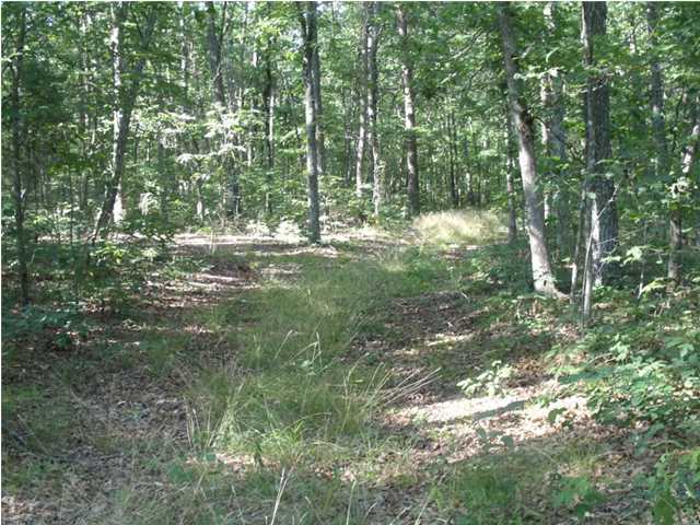 203 West Bluff Road, Unit 203 Pikeville, TN 37367 - Photo 2 of 9 Primary Photo