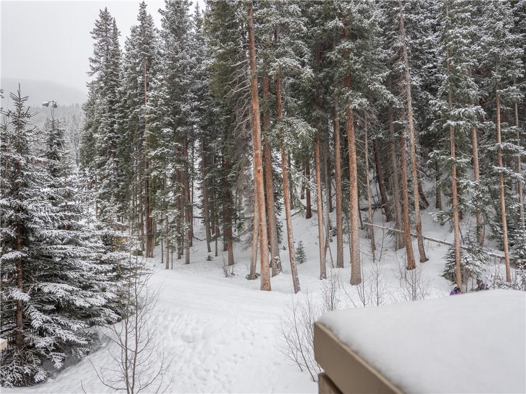 280 Trailhead Drive, Unit 3020 Keystone, CO 80435 - Photo 14 of 24 a view of outdoor space with trees