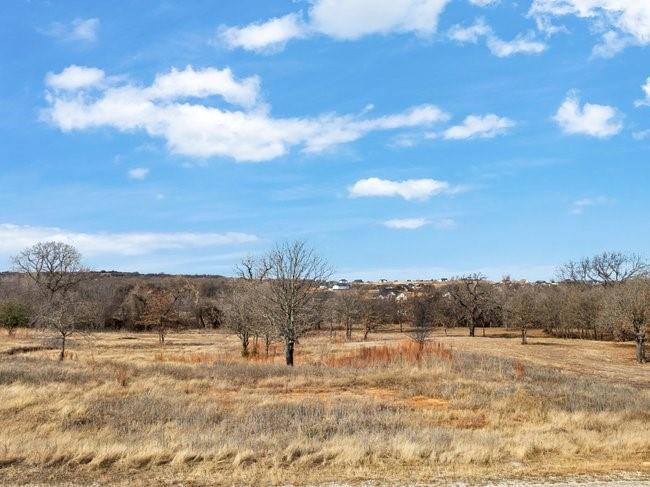 1101 Gonzollas Road Springtown, TX 76082 - Photo 11 of 14