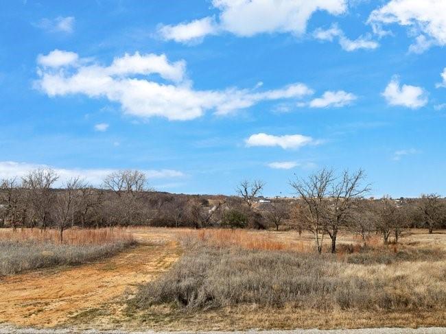 1101 Gonzollas Road Springtown, TX 76082 - Photo 12 of 14