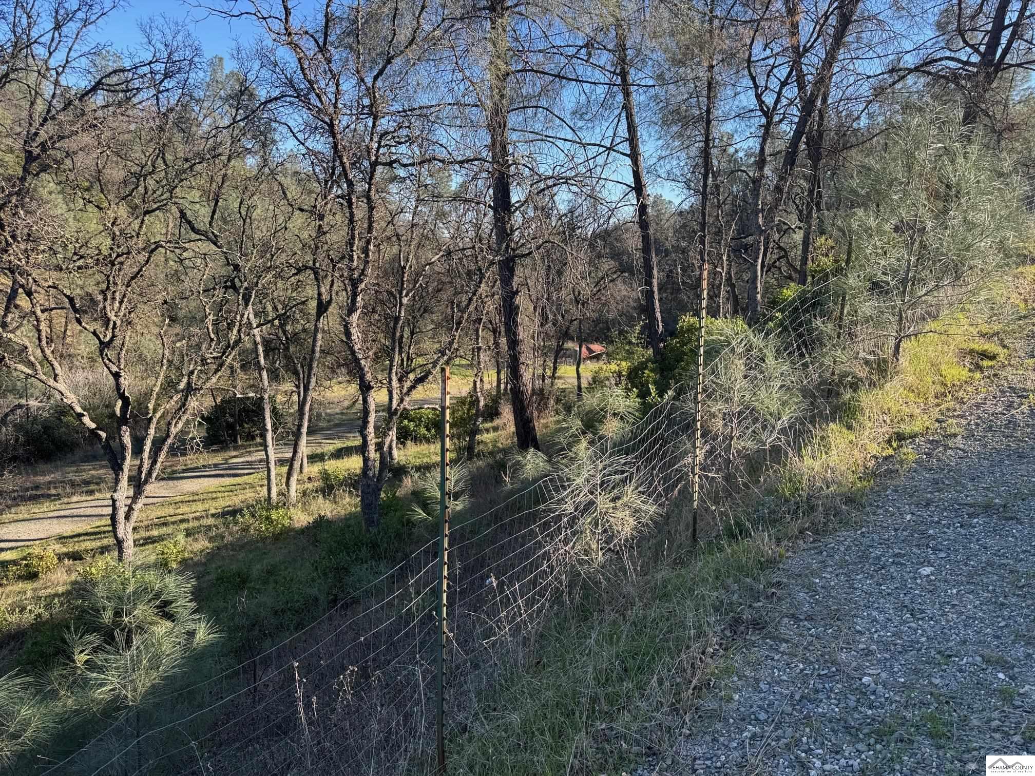 16015 Apache Trail Corning, CA 96021 - Photo 7 of 21