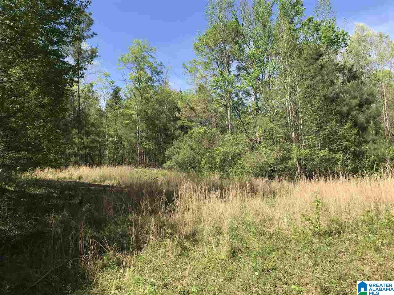 0 Acton Road, Unit 53 ACRE Moody, AL 35004 - Photo 31 of 33 Gallery Image 31