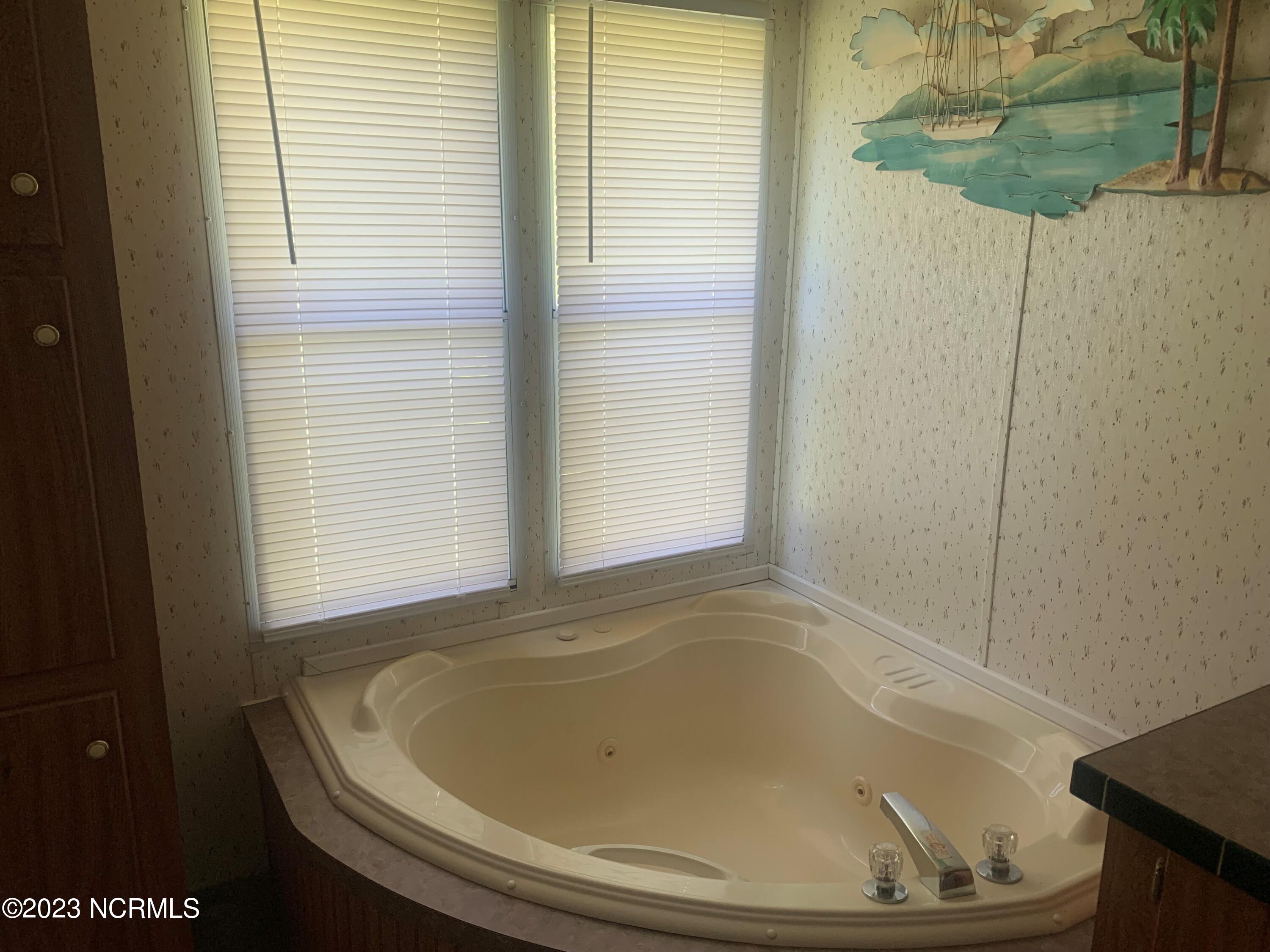 1333 Blue Creek Road, Unit 62 Jacksonville, NC 28540 - Photo 13 of 20 master bathroom tub
