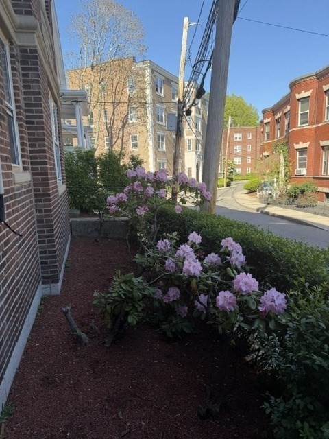 15 Colliston Road, Unit 6 Boston, MA 02135 - Photo 12 of 12 a view of a bunch of flowers