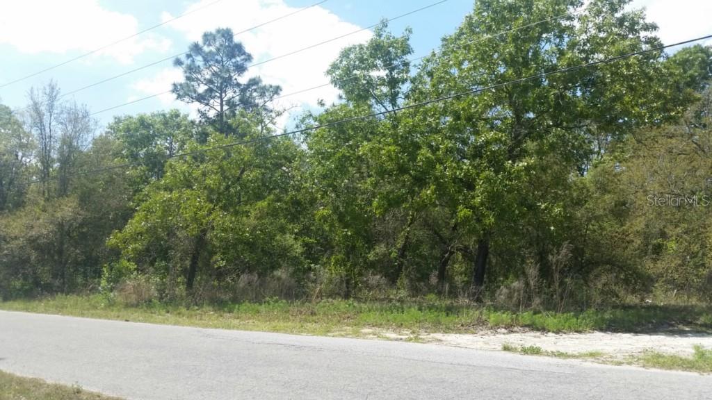 0 Nelson Road Spring Hill, FL 34610 - Photo 1 of 1 a small yard with a trees in the background