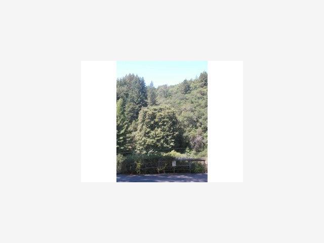 3680 North Rodeo Gulch Road Soquel, CA 95073 - Photo 3 of 5