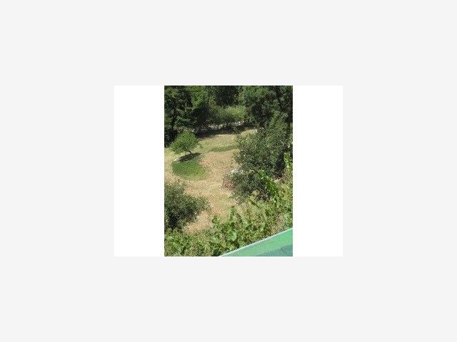 3680 North Rodeo Gulch Road Soquel, CA 95073 - Photo 4 of 5