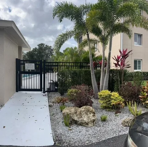 a view of a backyard with plants and palm trees