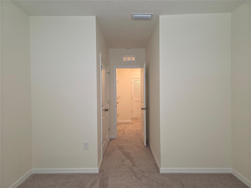 32181 Turtle Grace Loop Wesley Chapel, FL 33545 - Photo 32 of 37 Gallery Image 32